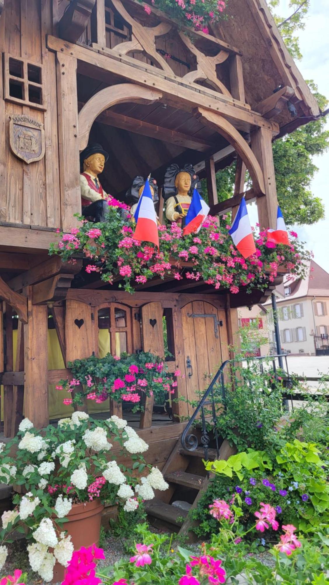 Gite Violette Et Pierrot Masevaux-Niederbruck Exterior foto