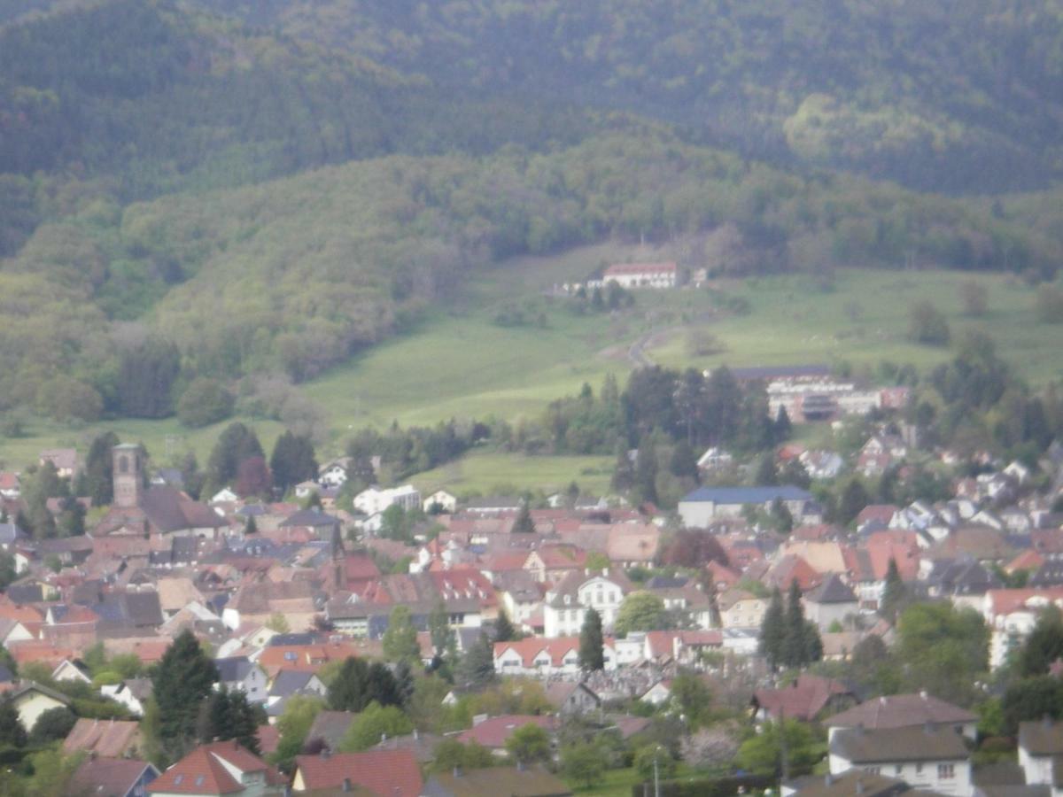Gite Violette Et Pierrot Masevaux-Niederbruck Exterior foto