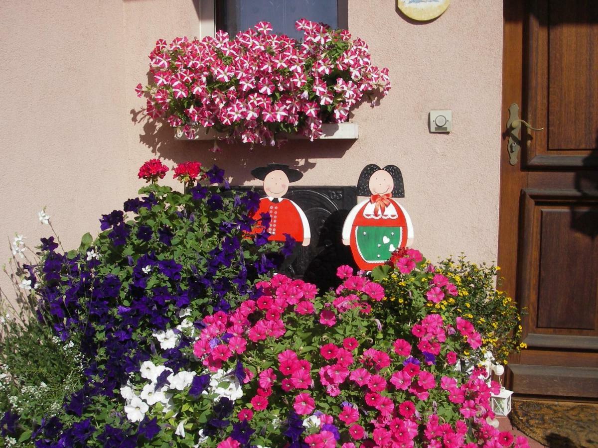 Gite Violette Et Pierrot Masevaux-Niederbruck Exterior foto